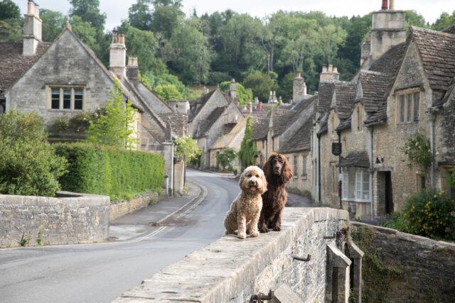 Modern Storybook Architectural Vibes - Street Scene in The Cotswolds